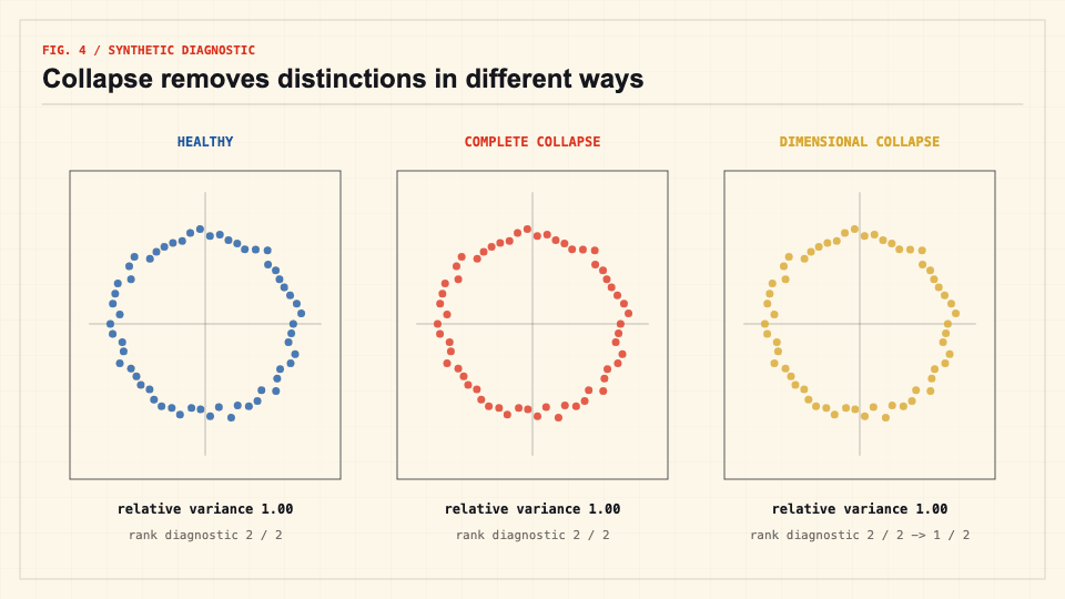 Animated representations remaining healthy, collapsing to a point, or flattening to one dimension