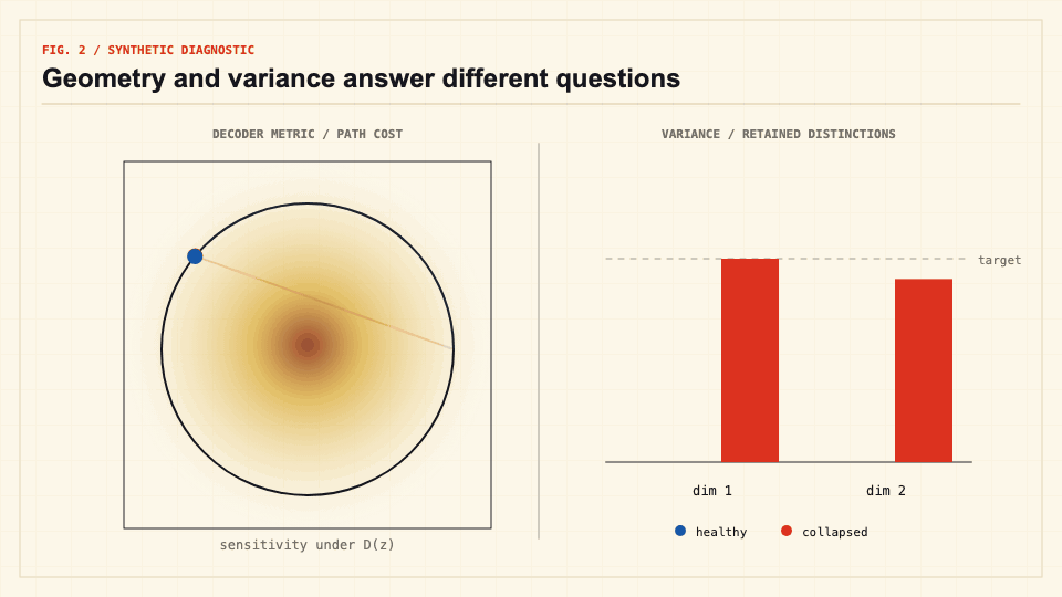 Animated metric-cost paths beside variance bars for healthy and collapsed representations